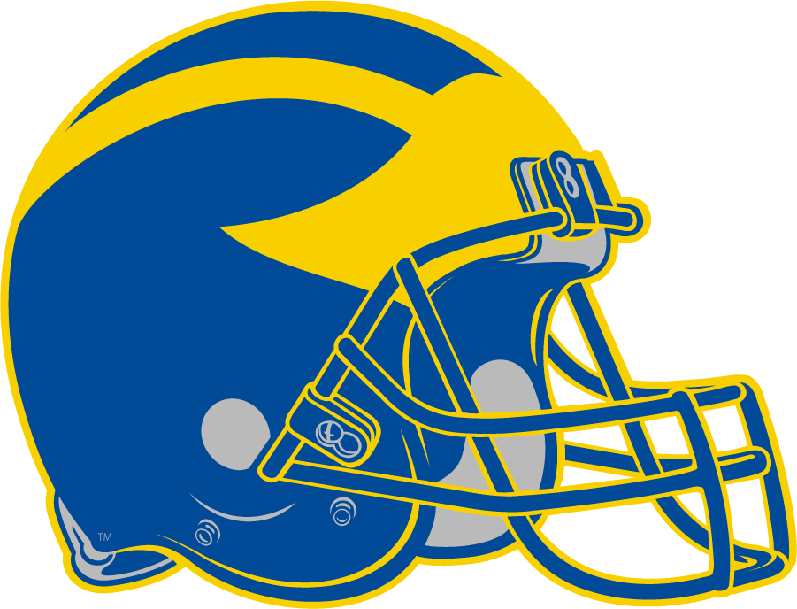 Delaware Blue Hens 2009-Pres Helmet Logo iron on transfers for clothing
